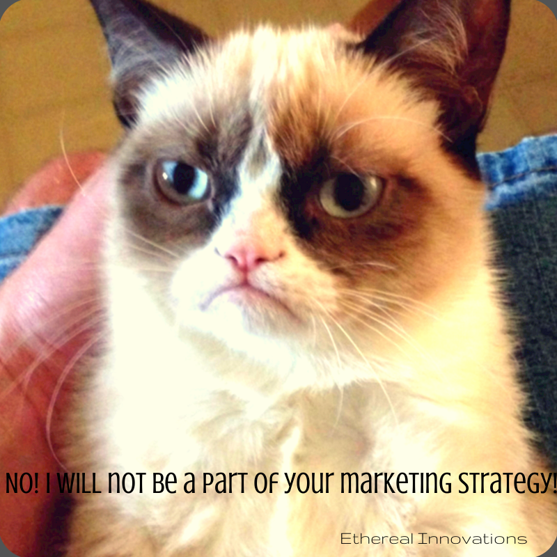 Grumpy Cat will not participate in marketing strategy | Meme for marketers | humor in social media
